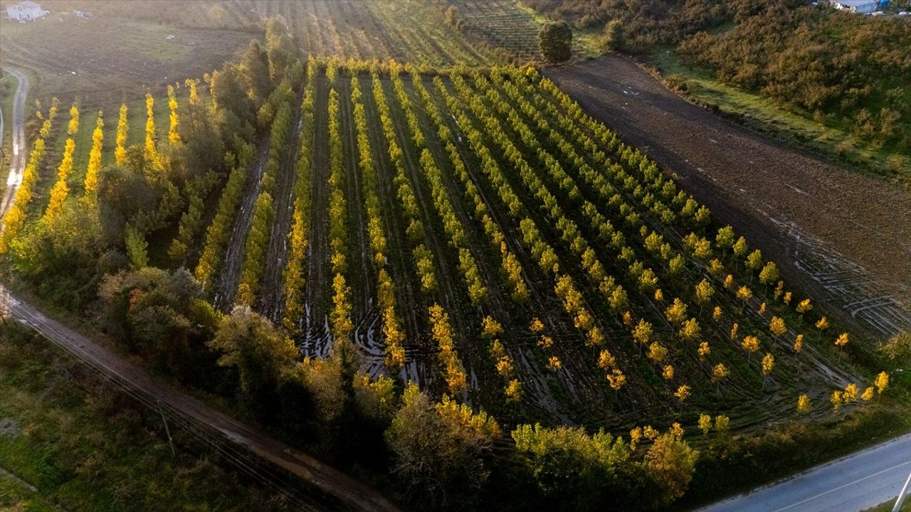 Melen Çayı Havzası Sonbahar Güzelliğiyle Büyülüyor