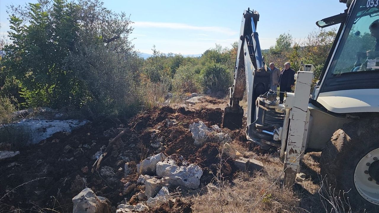 Mersin'deki Piliç Üretim Çiftliğinde Yem Tedarik Sorunu: 800 Tavuk Telef Oldu