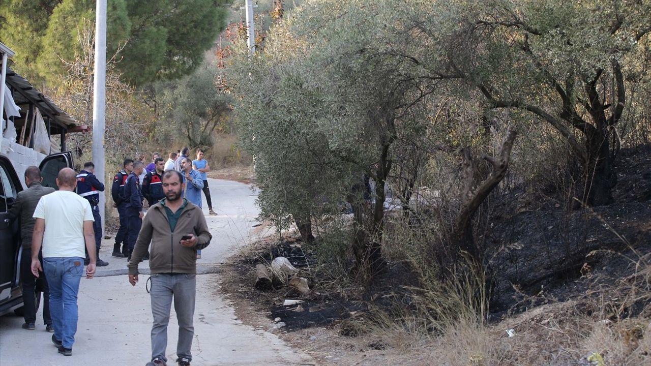 Muğla'da Orman ve Zeytinlik Alanda Yangın Çıktı