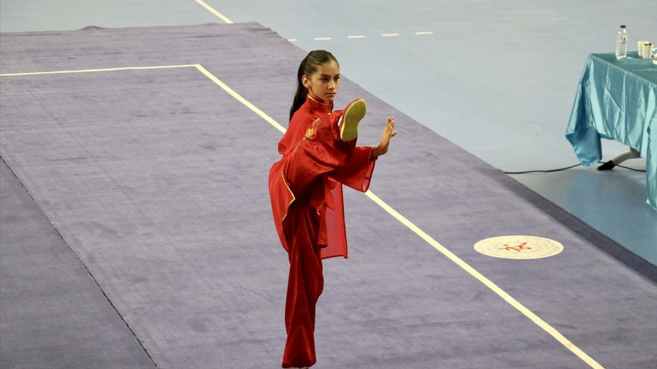 Sakarya'da Geleneksel Wushu Türkiye Şampiyonası Başladı