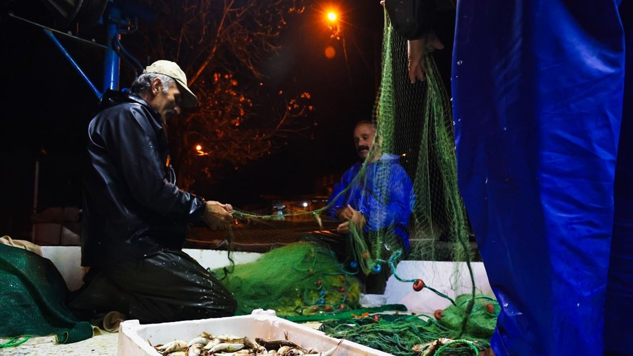 Sakarya Kocaali'de Balıkçılar Bol Miktarda Tekir Avladı