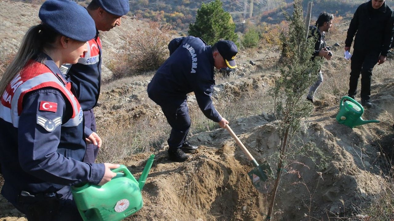 Samsun ve Çevresinde 11 Kasım Milli Ağaçlandırma Günü Etkinlikleri Gerçekleştirildi