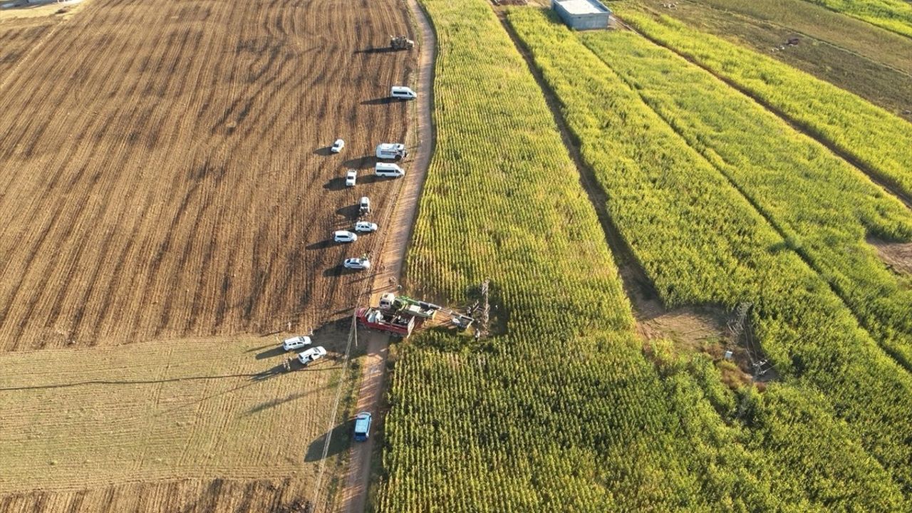 Şanlıurfa'da Tarlalarda 15 Kayıt Dışı Trafo Tespit Edildi