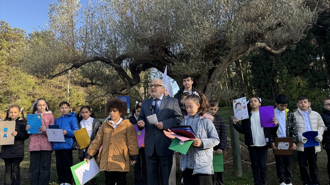 Sarıyer'de 1000 Yıllık Zeytin Ağacında Çocuk Hakları Şiirleri Okundu