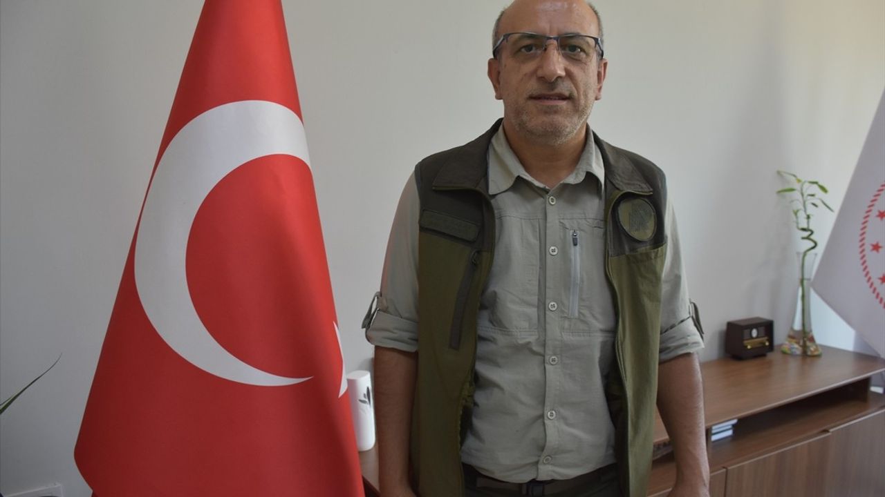 Şırnak'ta Yaralı Atmaca Doğaya Kavuştu