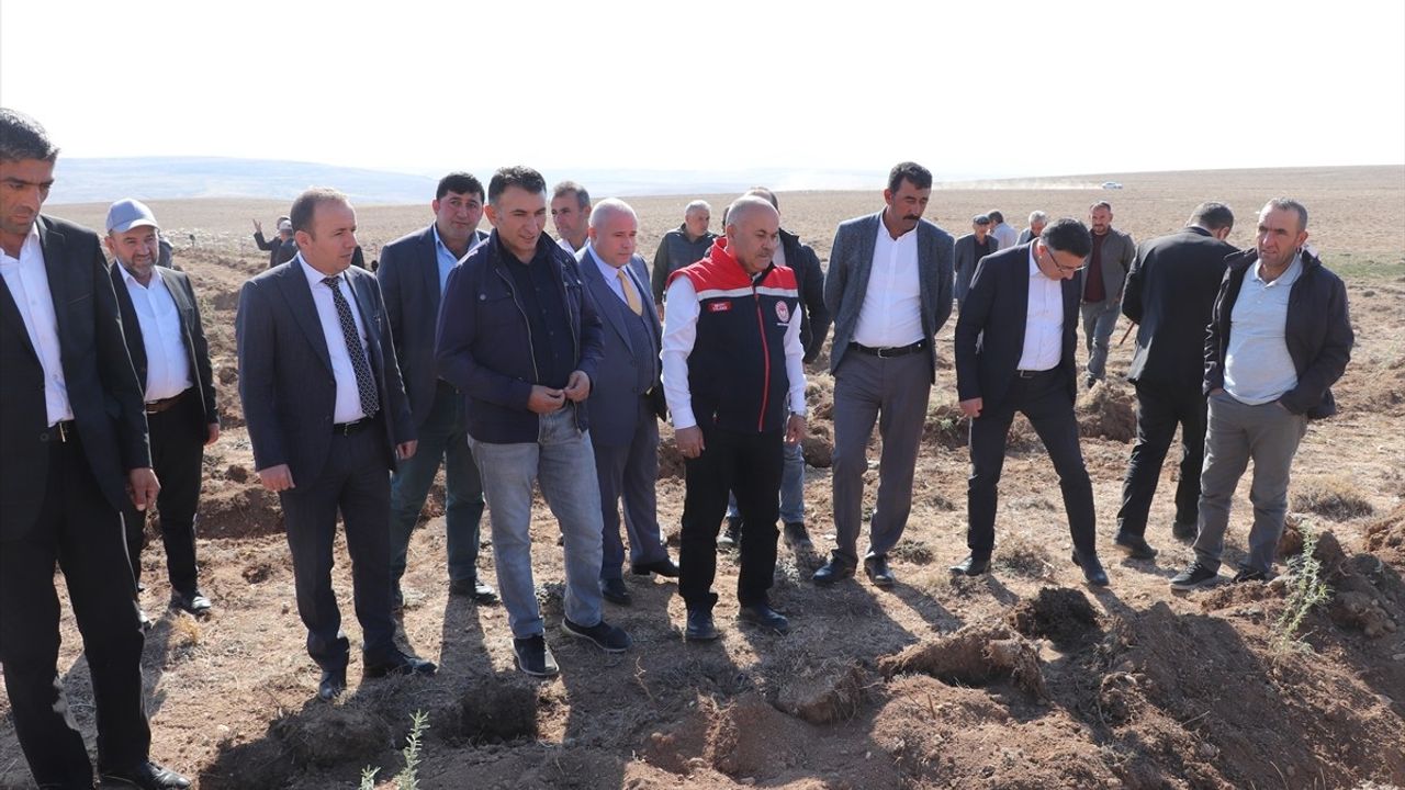 Sivas'ta Tuz Çalısı ile Mera Islahı Projesi Başlatıldı
