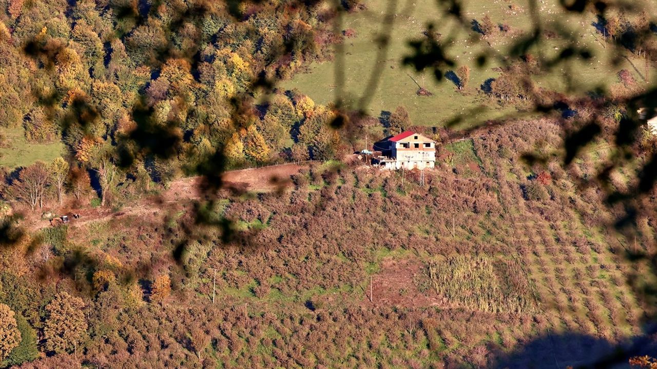 Sonbaharın Renkleri Nebiyan Dağı'nı Süslüyor