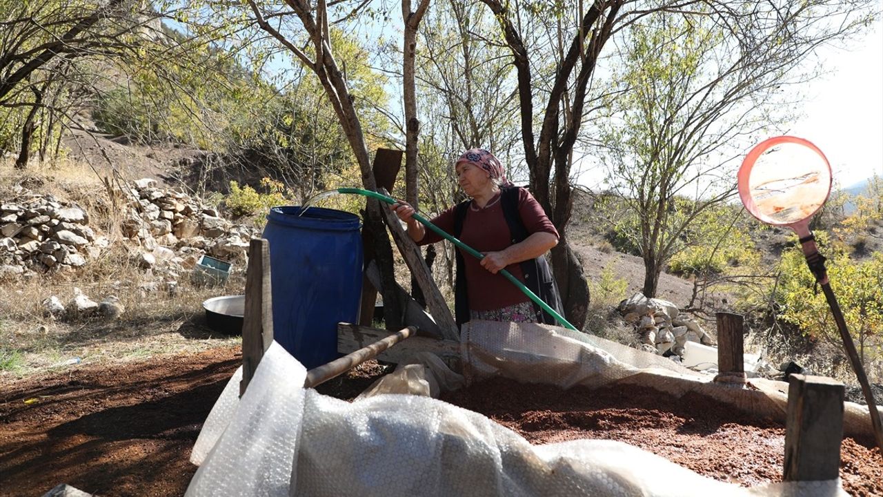 Torosların Eşsiz Lezzeti: Andız Pekmezi