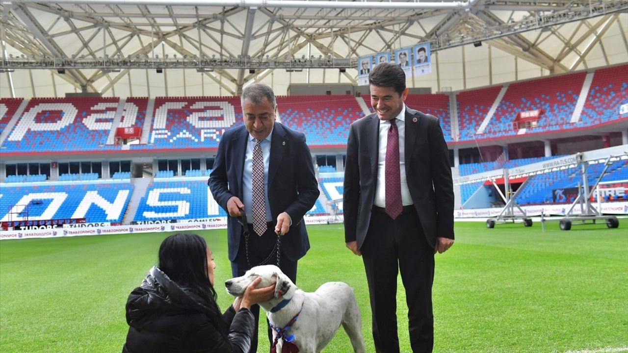 Trabzonspor, Fenerbahçe Maçı Öncesi Sahaya Giren Köpeği Sahiplendi