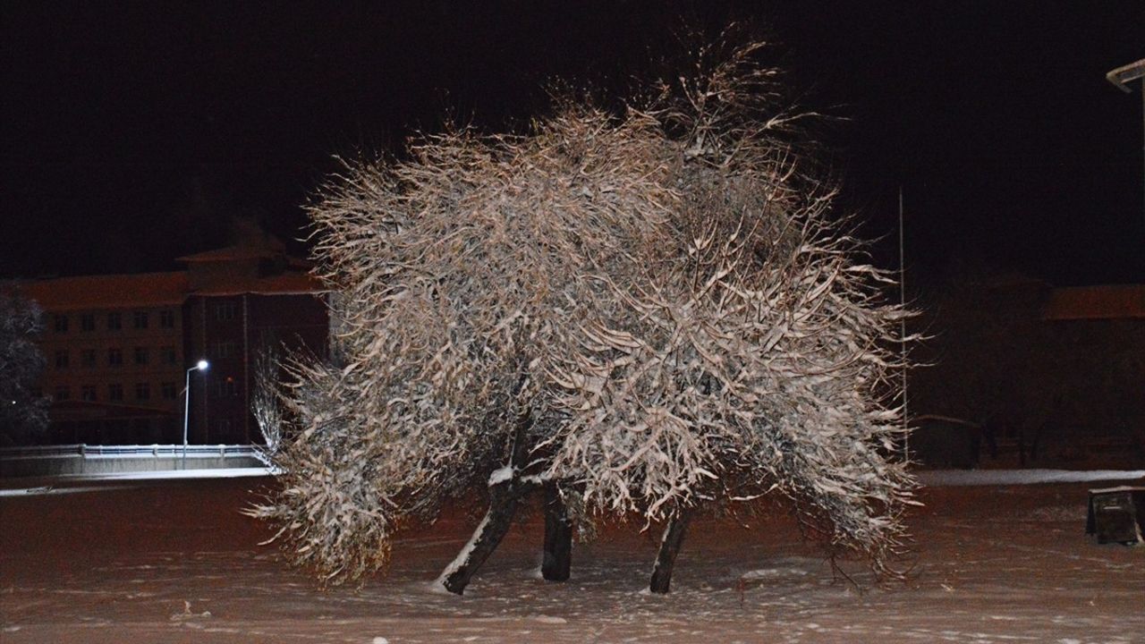 Ağrı, Tunceli ve Kars'ta Kar Yağışı Ulaşımı Zorlaştırdı