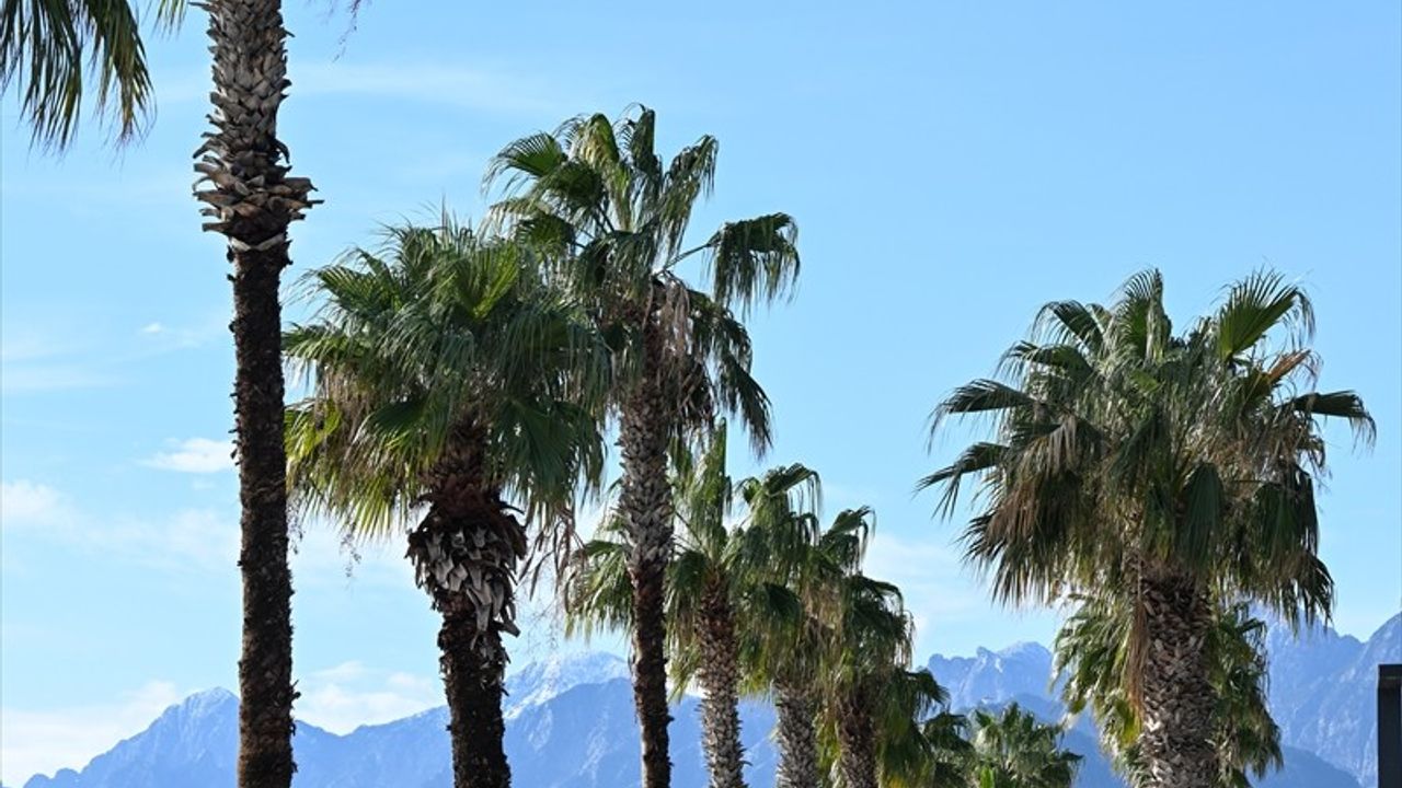 Antalya'da Güneşin Yüzünü Gösterdiği Anlarda Sahillerde Yoğunluk