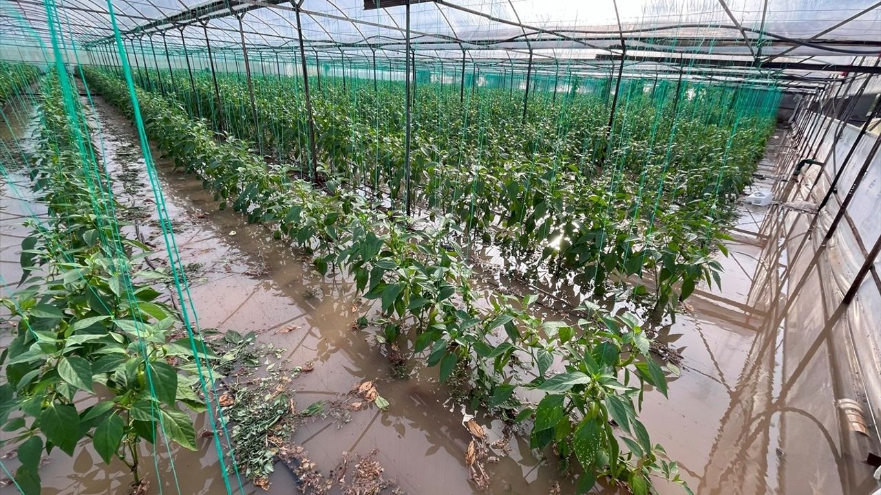 Antalya'nın Kumluca İlçesinde Sağanak Sonucu Su Baskınları