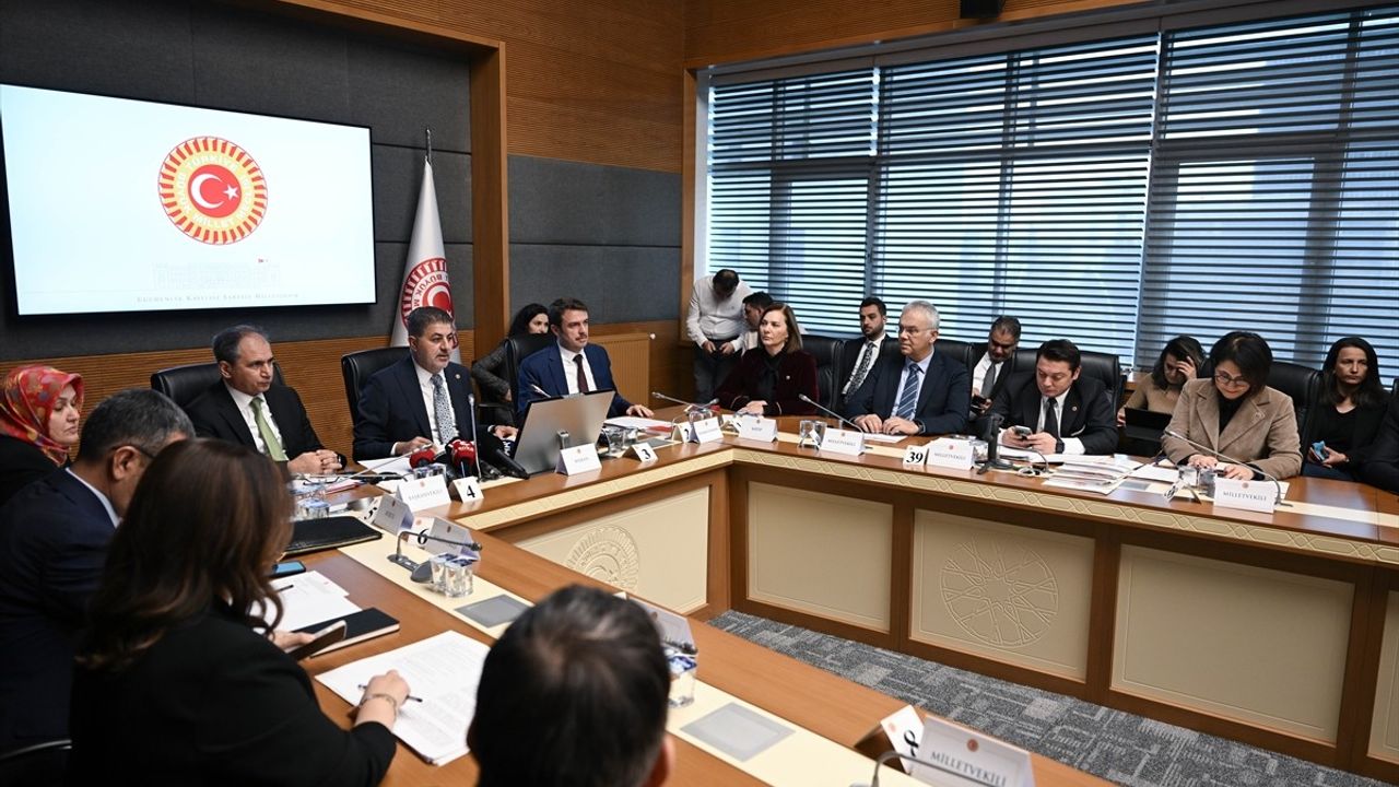 Bebek Ölümlerini ve Özel Sağlık Kuruluşlarını Araştırma Komisyonu Toplandı