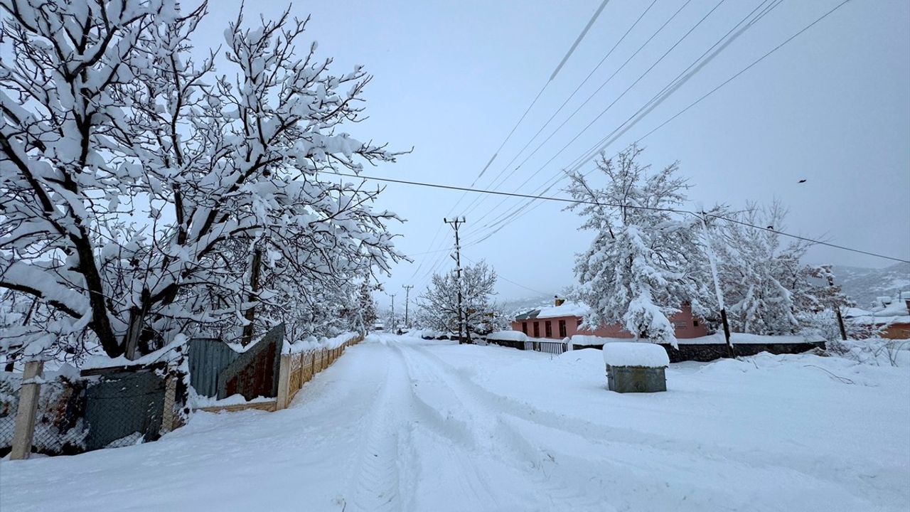 Bingöl'de Kar Yağışı Nedeniyle 191 Yerleşim Yerine Ulaşım Sağlanamıyor