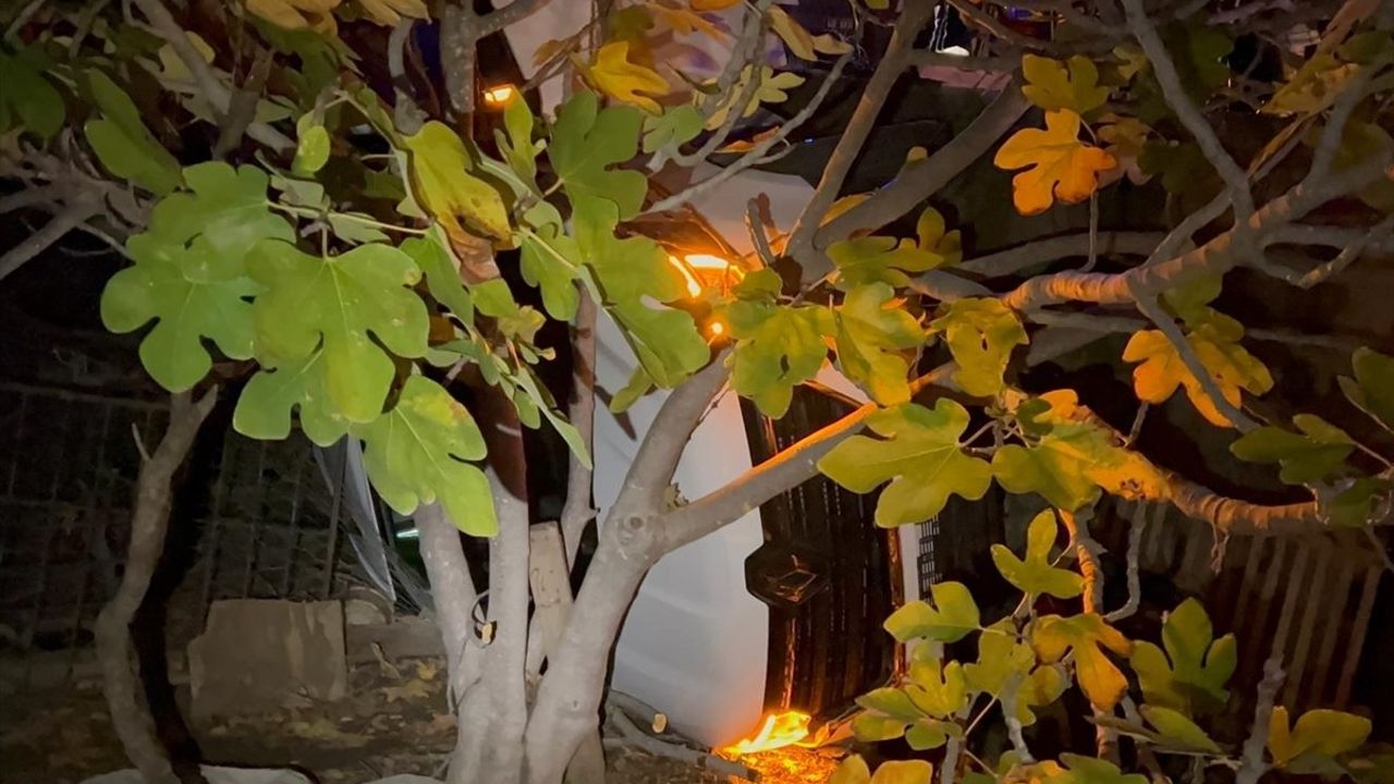 Bodrum'da Devrilen Otomobilde Sıkışan Yaralı Kurtarıldı