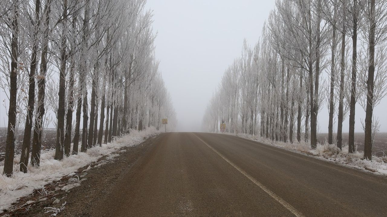 Çankırı'da Sis Ulaşımı Olumsuz Etkiliyor