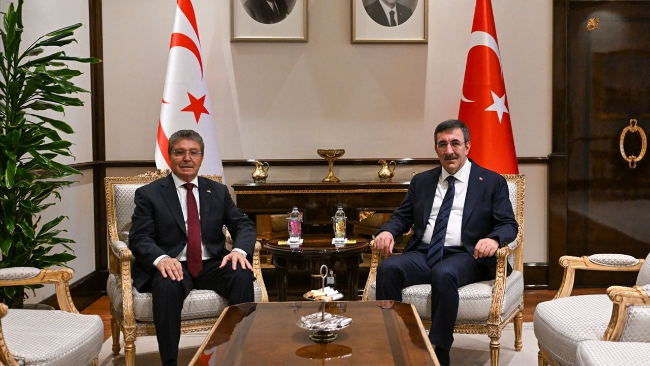 Cumhurbaşkanı Yardımcısı Cevdet Yılmaz, KKTC Başbakanı Ünal Üstel ile Görüştü