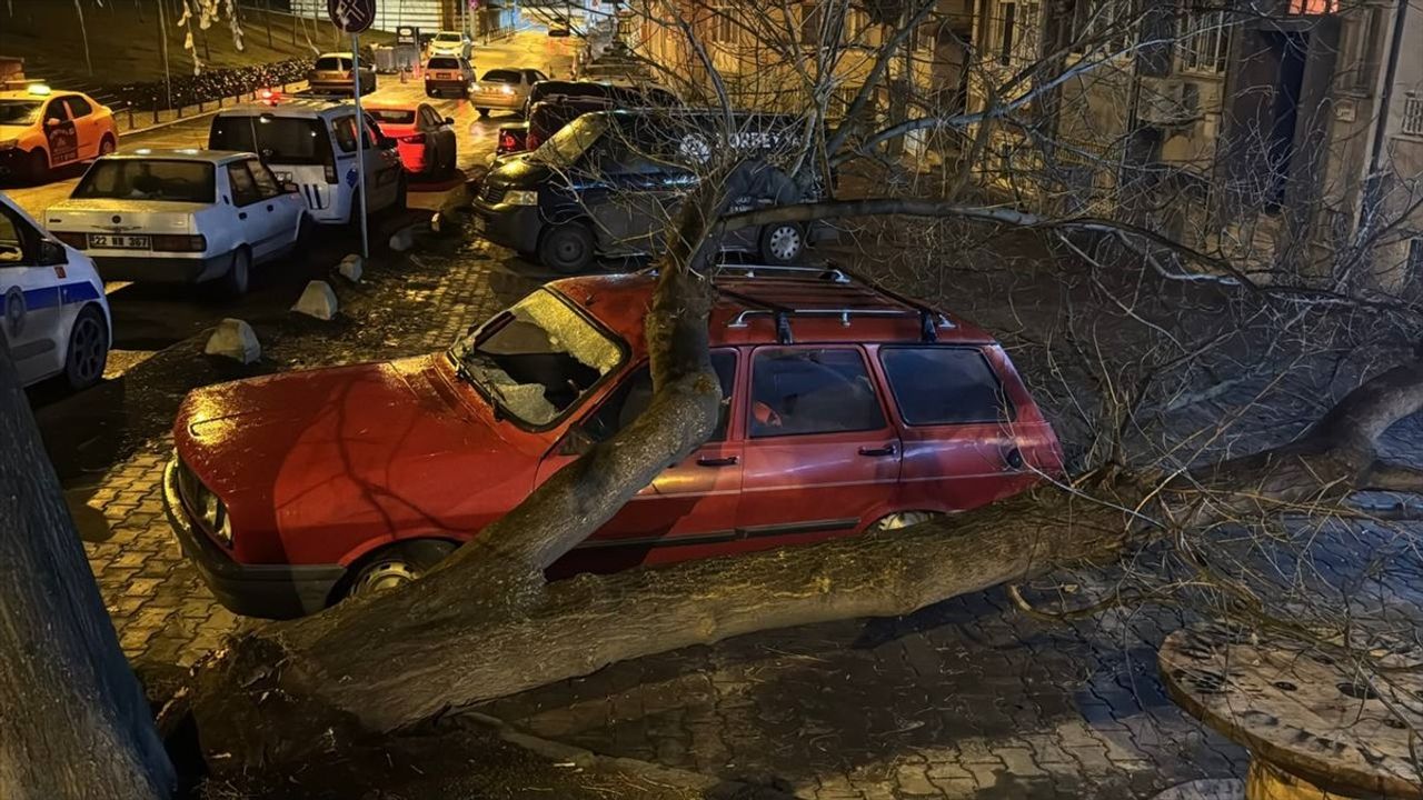Edirne'de Çürüyen Ağaç, Otomobilin Üzerine Devrildi