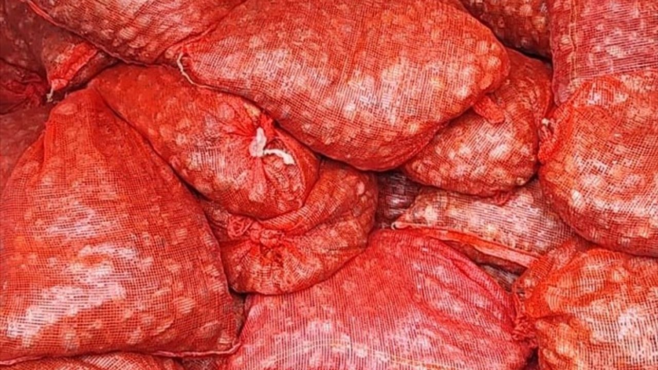 Edirne'de Kum Midyesi Kaçakçılığına 46 Kişiye Yüksek Ceza