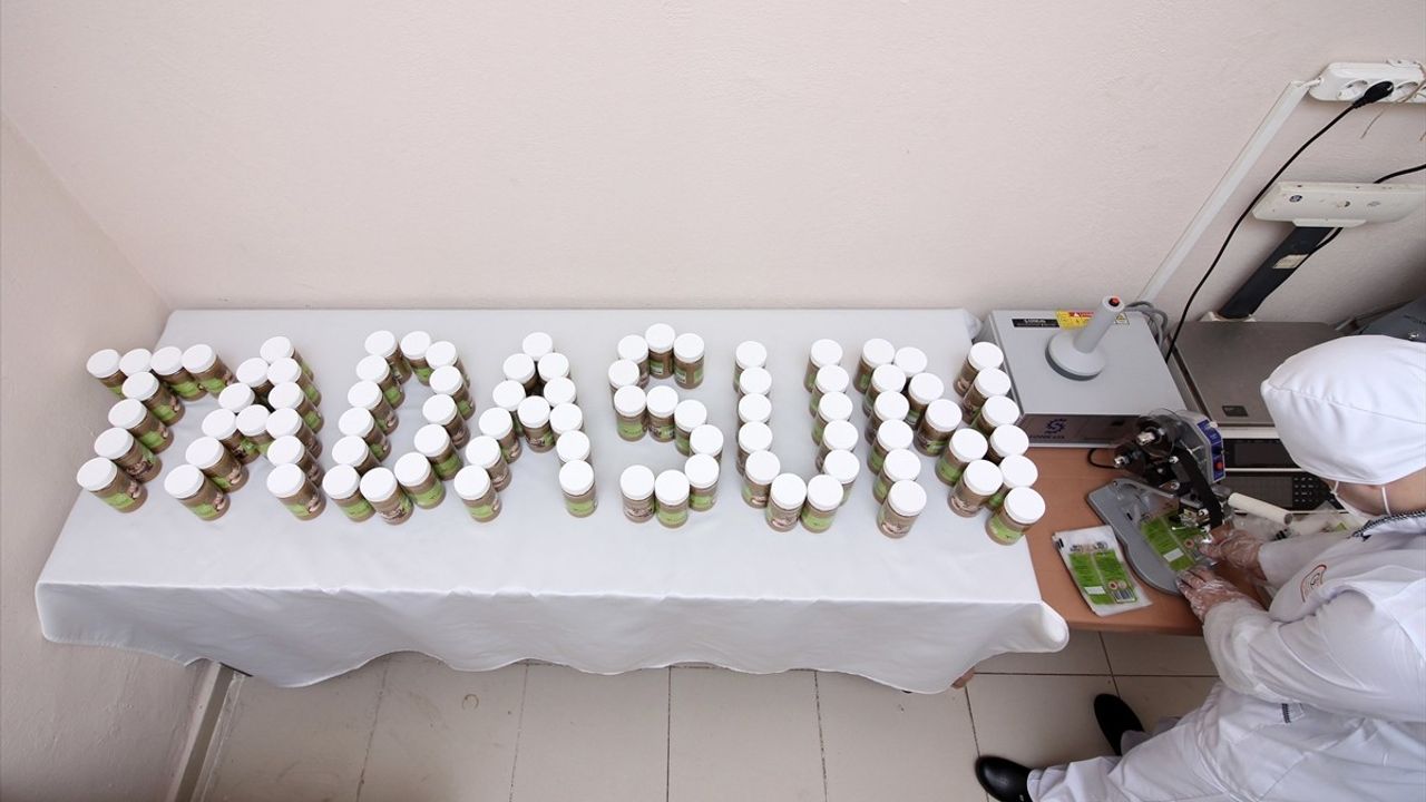 Giresun'da Cezaevinde Fındık İşleme Atölyesi Açıldı