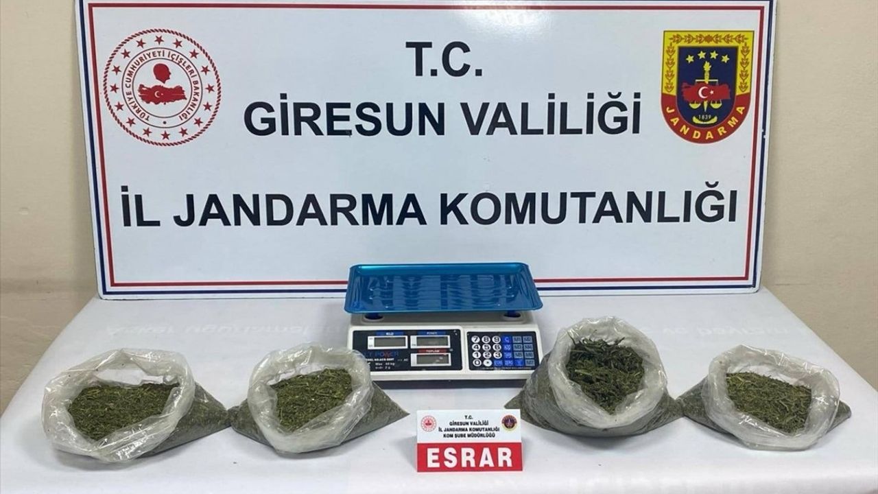 Giresun'da Uyuşturucu Operasyonunda 2 Şüpheli Tutuklandı