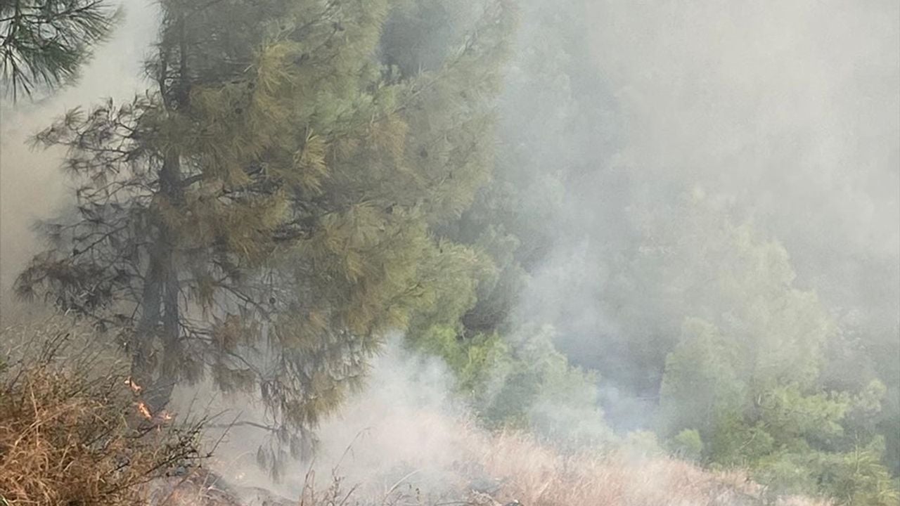 Hatay İskenderun'daki Orman Yangını Kontrol Altına Alındı