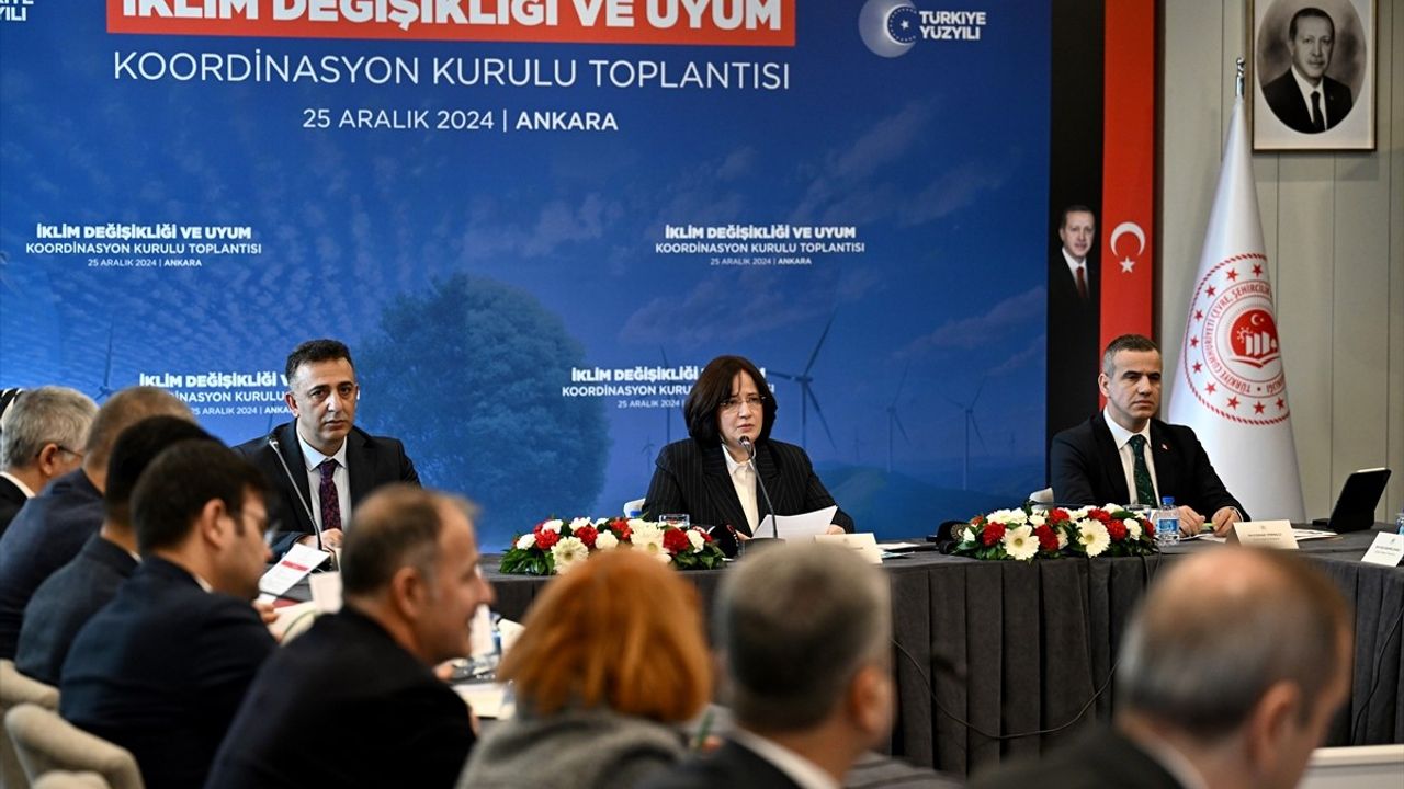 İklim Değişikliği ve Uyum Koordinasyon Kurulu, 2024 Yılı 2. Toplantısını Gerçekleştirdi