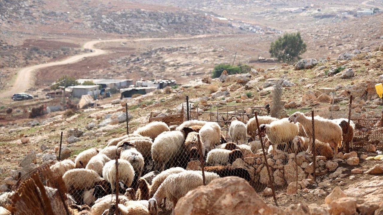 İsrail'in Tuveyyil Köyündeki Yıkımlar: Filistinlilerin Direnişi Devam Ediyor