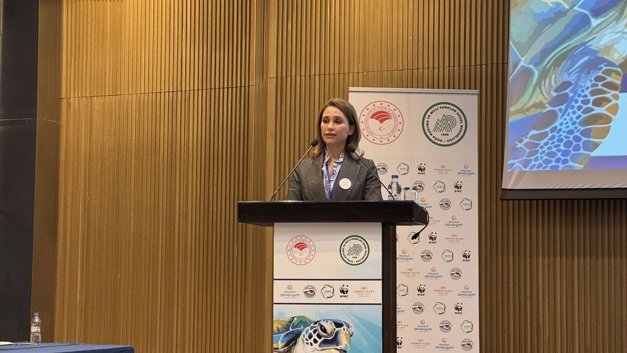 İstanbul'da Deniz Kaplumbağaları Çalıştayı ve Bilim Komisyonu Toplantısı Başladı