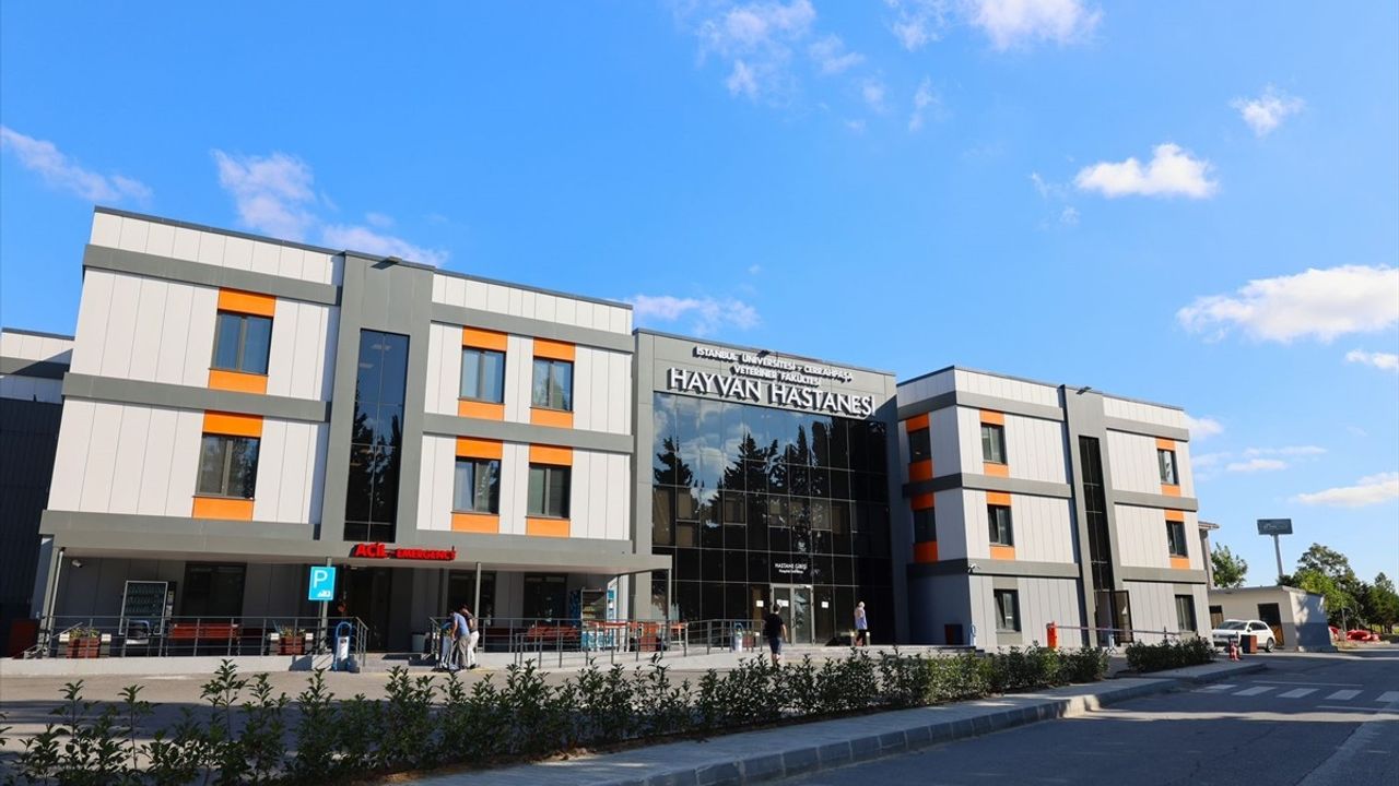 İstanbul Üniversitesi-Cerrahpaşa Veteriner Fakültesi Hayvan Hastanesi Yenilenen Yüzüyle Açılıyor