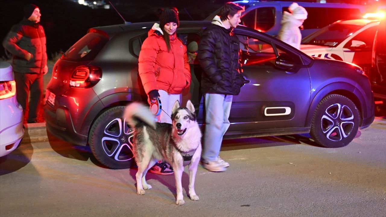 Mamak'ta Hayvan Barınağı Önünde Protesto: Katliam İddiaları Araştırılıyor