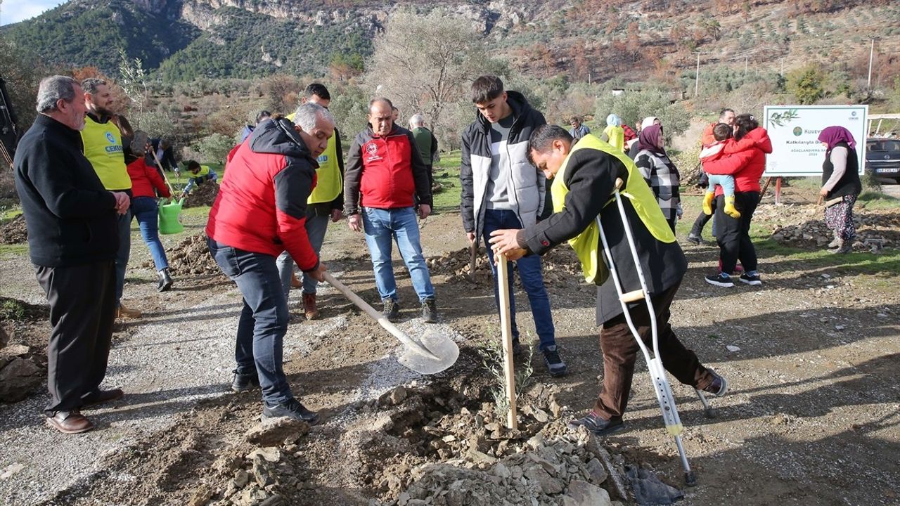 Muğla'da Orman Yangınından Etkilenen Üreticilere Zeytin Fidanı Dağıtıldı