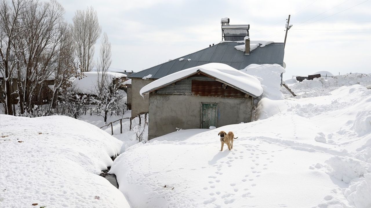 Muş'ta Yüksek Kesimlerde Kar Yağışı Hayatı Olumsuz Etkiledi