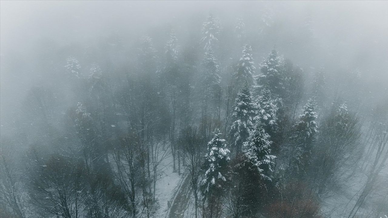 Sakarya'nın Kocaali İlçesinde Kar Yağışı Etkili Oldu