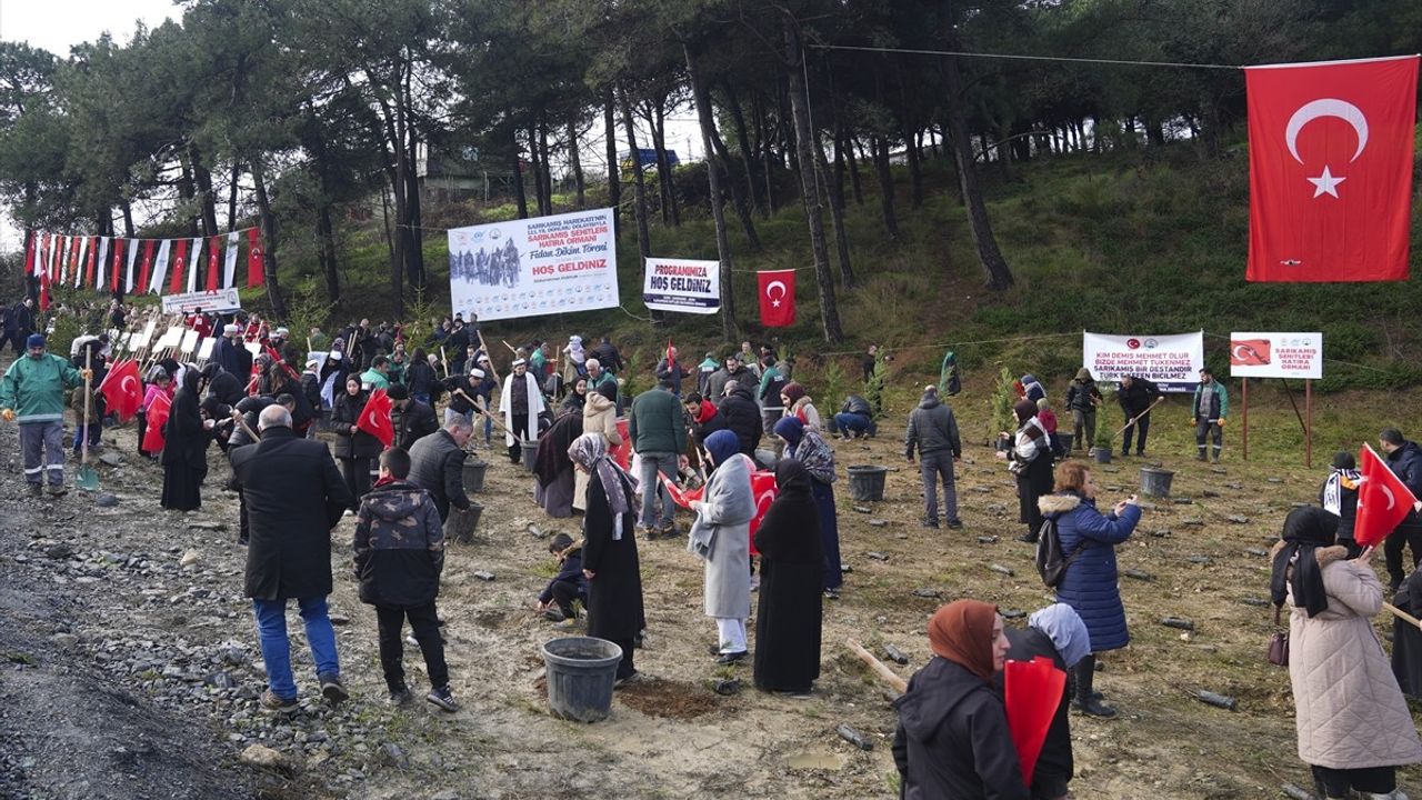 Sultangazi'de Sarıkamış Şehitleri Anısına Hatıra Ormanı Kuruldu