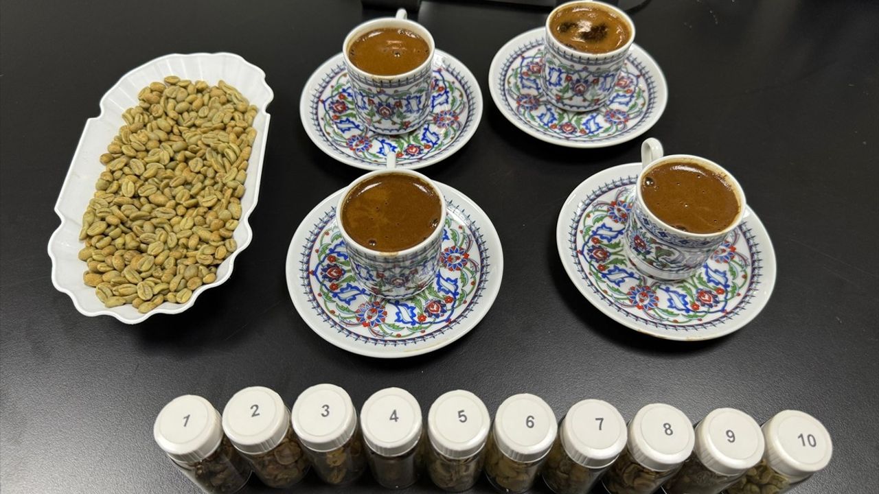 Türk Kahvesi: Kültürel Mirasa Sahip Benzersiz Pişirme Yöntemleri