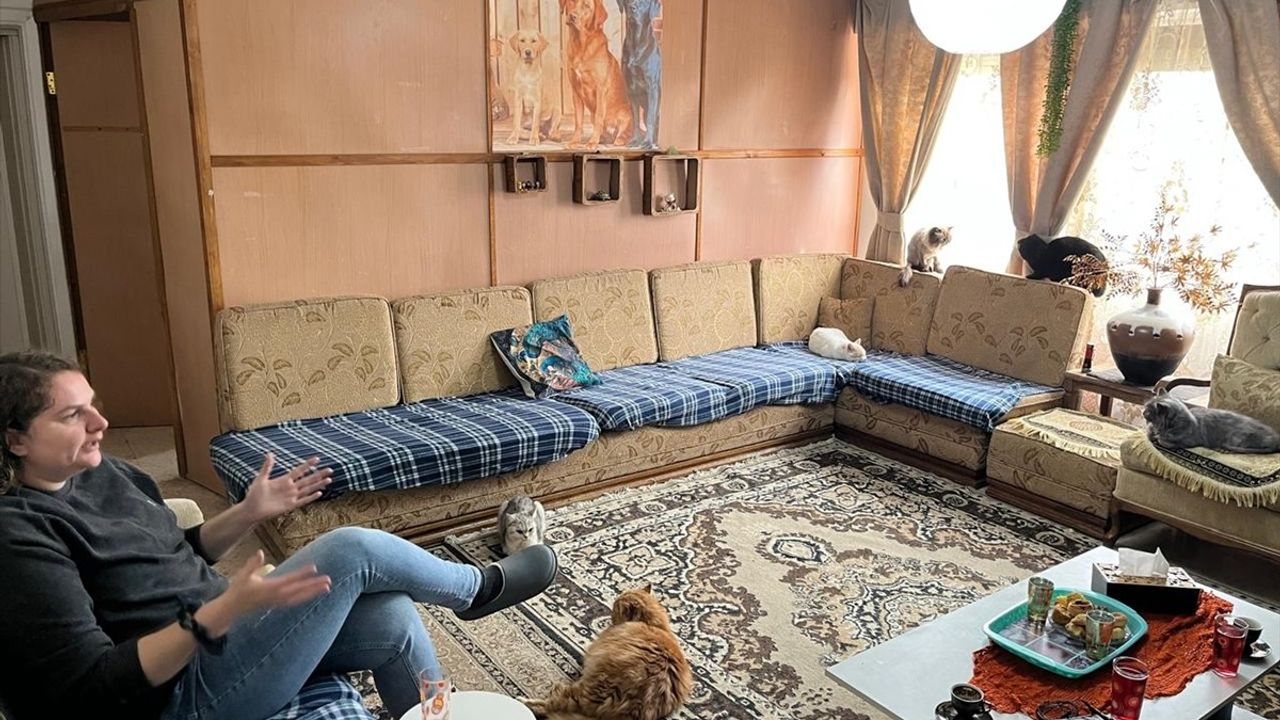 Ukraynalı Diplomat Olga Korobchuk, Ürdün’de Sokak Kedilerine Yardım İçin Kariyerini Feda Etti