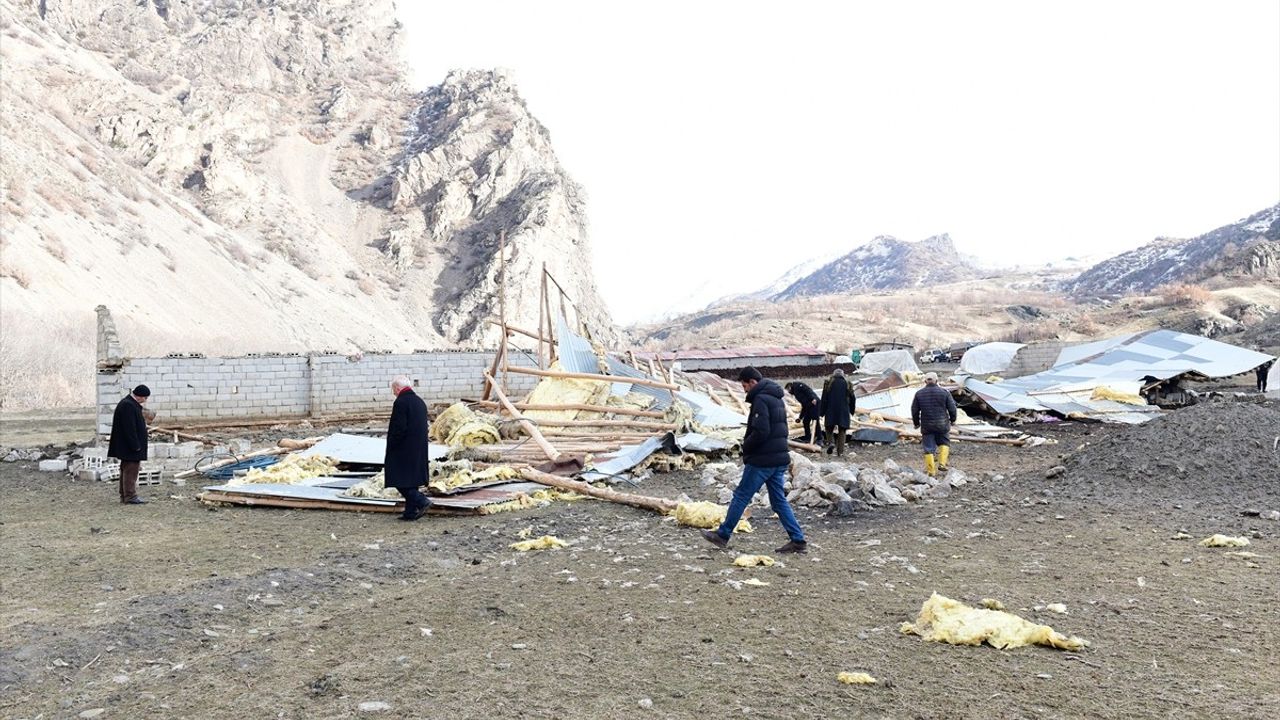 Van'da Rüzgar Nedeniyle Yıkılan Ahıra Giren Kurtlar 11 Koyunu Telef Etti