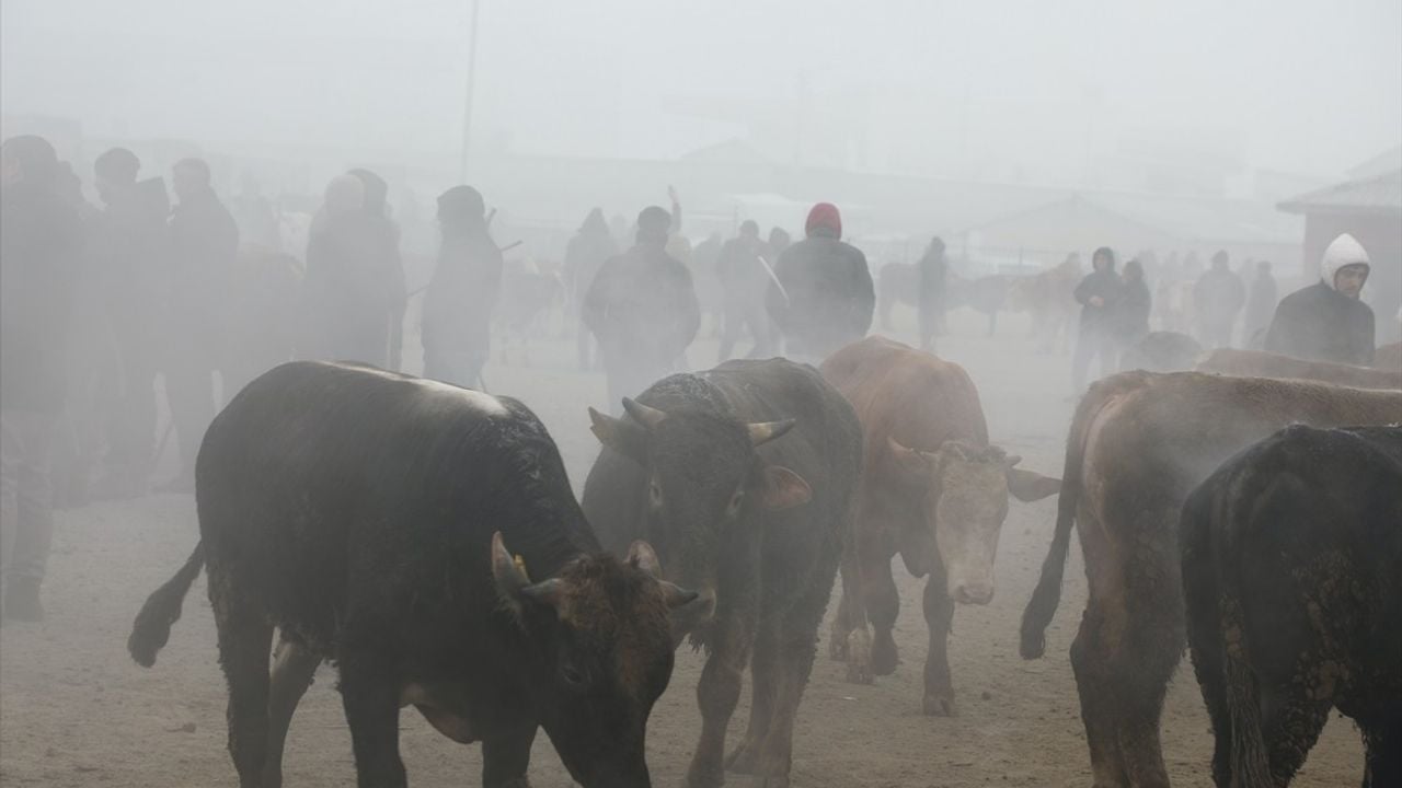 Ağrı, Kars ve Ardahan'da Dondurucu Soğuklar Etkili Oluyor