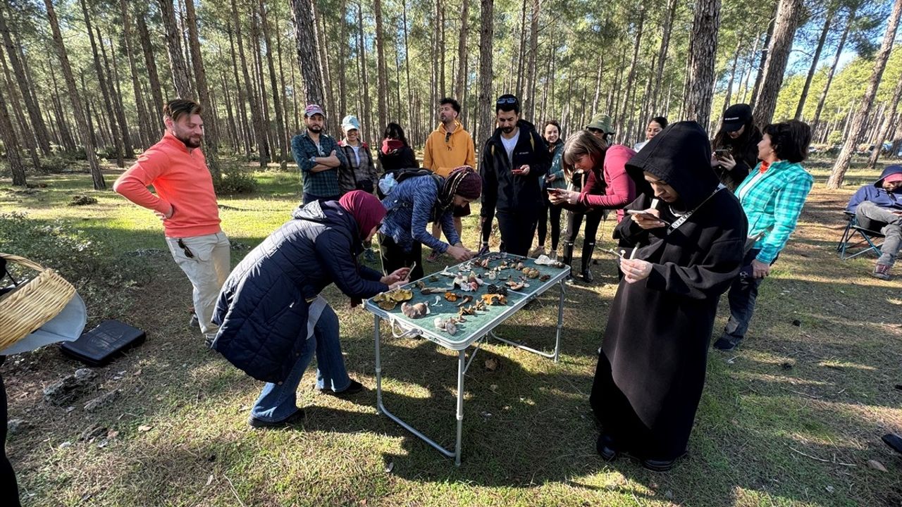 Antalya’da Mantar Meraklıları Bir Araya Geldi