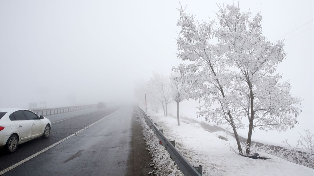 Bitlis'te Soğuk Hava ve Sis Yaşamı Etkiliyor