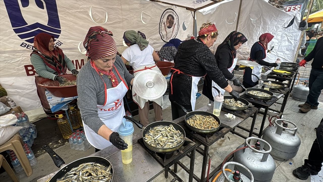 Bodrum'da Hamsi Festivali: 3 Ton Hamsi Dağıtıldı