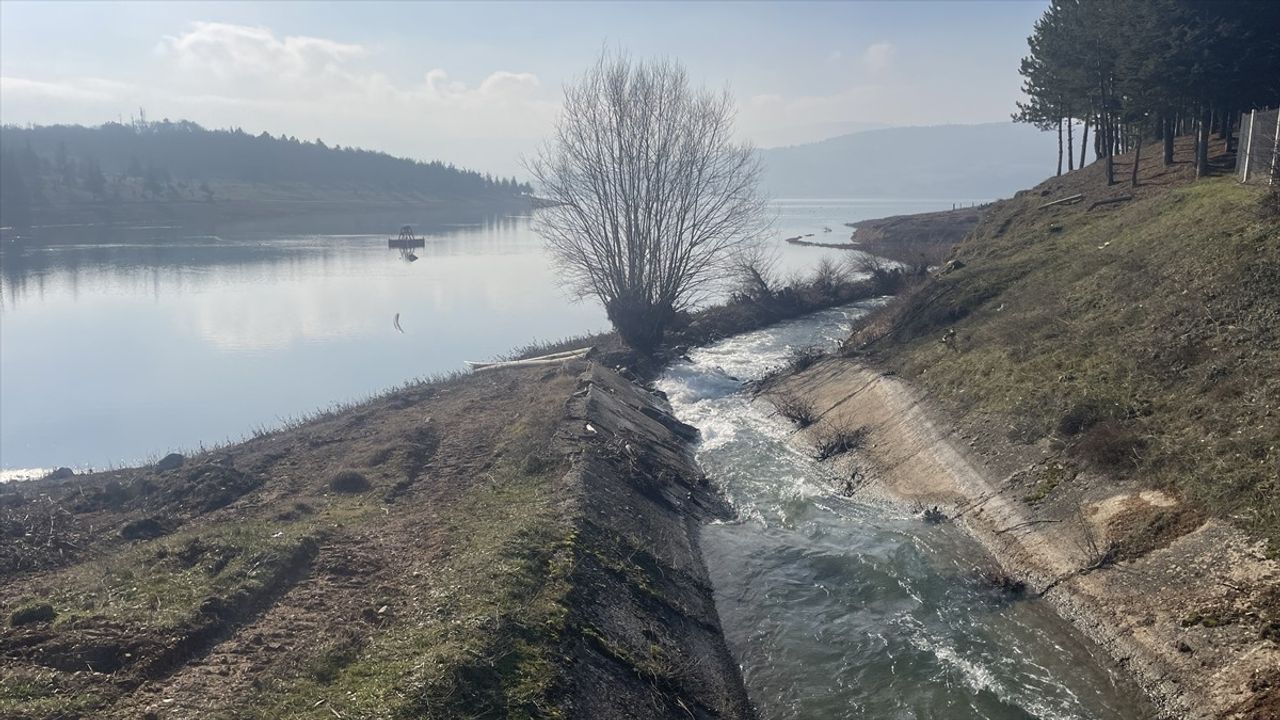 Bolu Gölköy Barajı'nda Su Seviyesi Yüzde 60'a Yükseldi