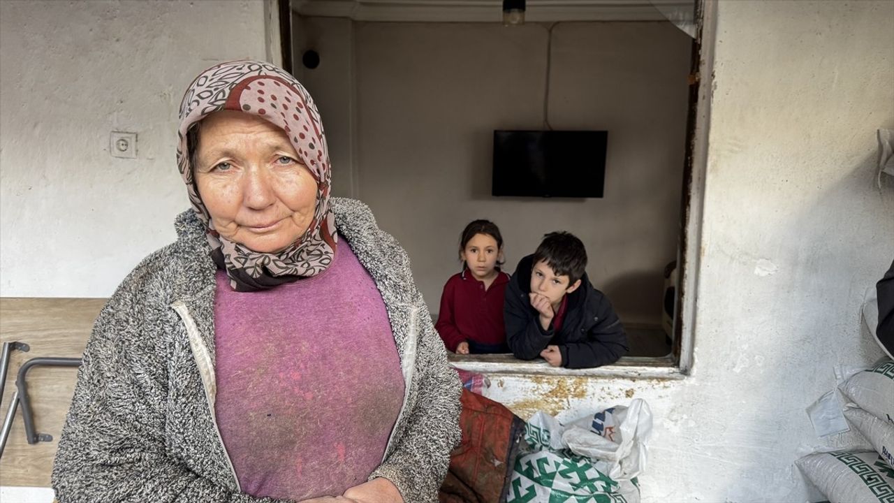 Burdur'da Kaçan Tosun, Pencereyi Kırarak Eve Girdi