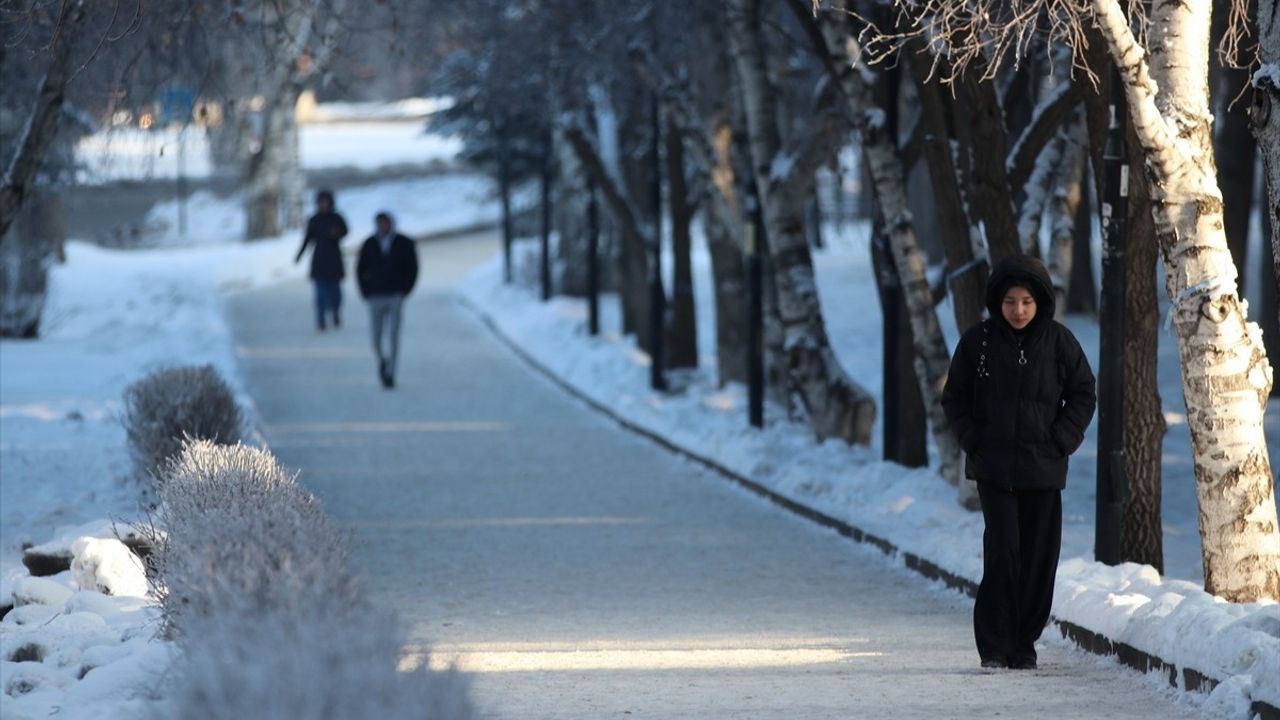 Doğu Anadolu'da Soğuk Hava Sis, Kırağı ve Buzlanmaya Neden Oldu