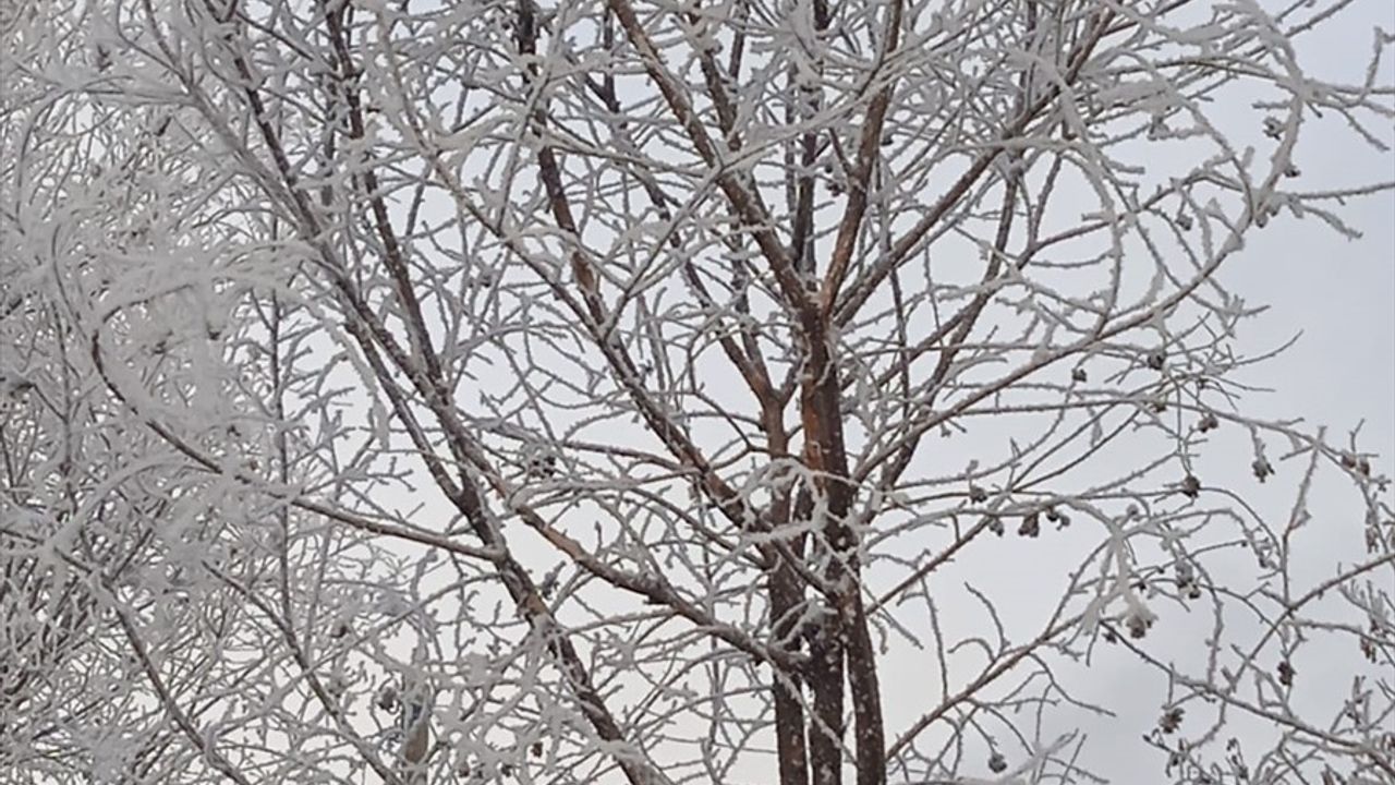 Erzurum, Kars, Ardahan ve Ağrı'da Kar Yağışı ve Soğuk Hava Etkili Oluyor
