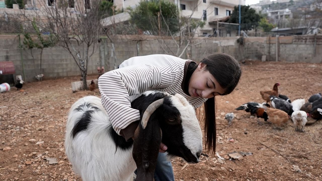 Filistinli Kız Çiftçi Habibe Salah, Sosyal Medya ile Ailesine Destek Oluyor