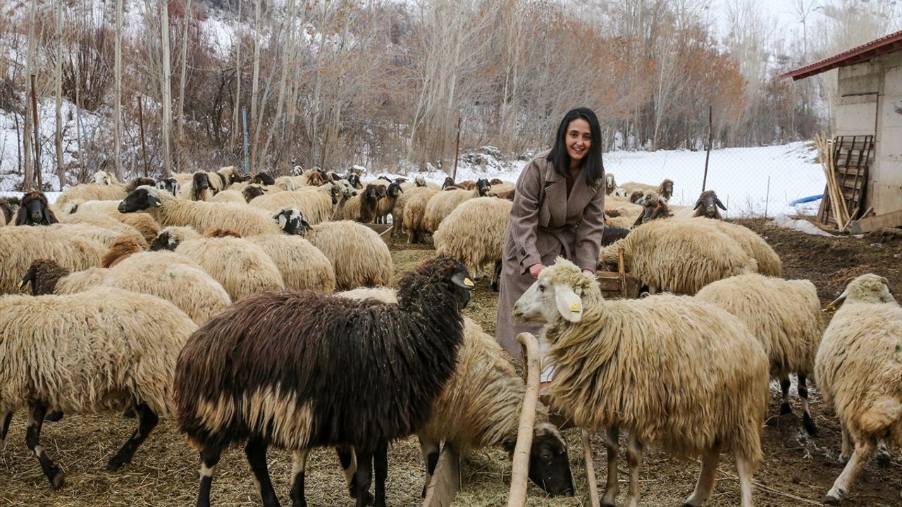 Genç Gıda Mühendisi Melike Mendaş, Devlet Desteğiyle Besiciliğini Geliştiriyor