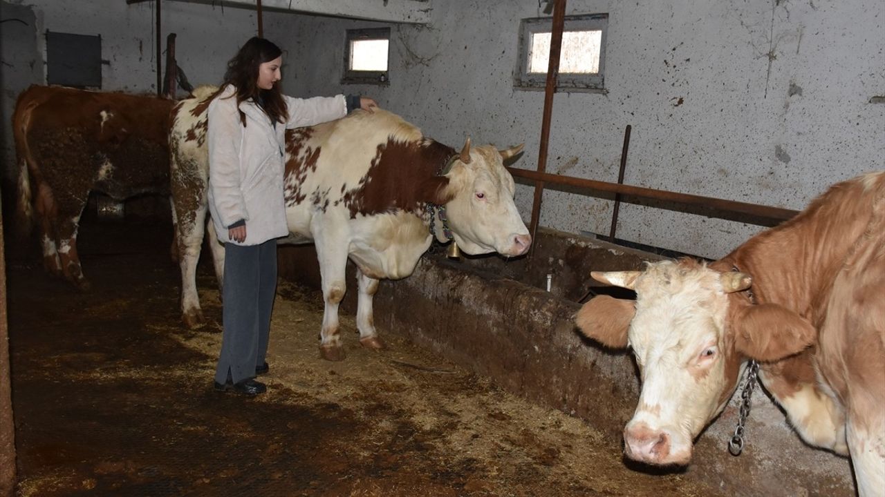 Gizem Çimen, Tezinden İlham Alarak Ordu'da Bir Çiftlik Kurdu