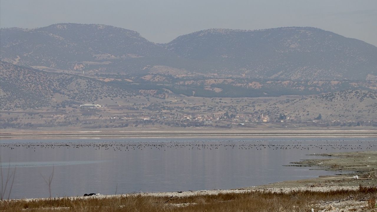 Göller Yöresi'nde Kış Ortası Su Kuşu Sayımı Başlatıldı